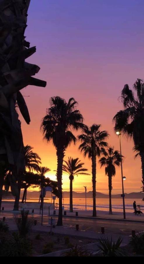 Studio Corniche Apartman La Ciotat Kültér fotó